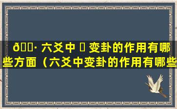 🌷 六爻中 ☘ 变卦的作用有哪些方面（六爻中变卦的作用有哪些方面的内容）